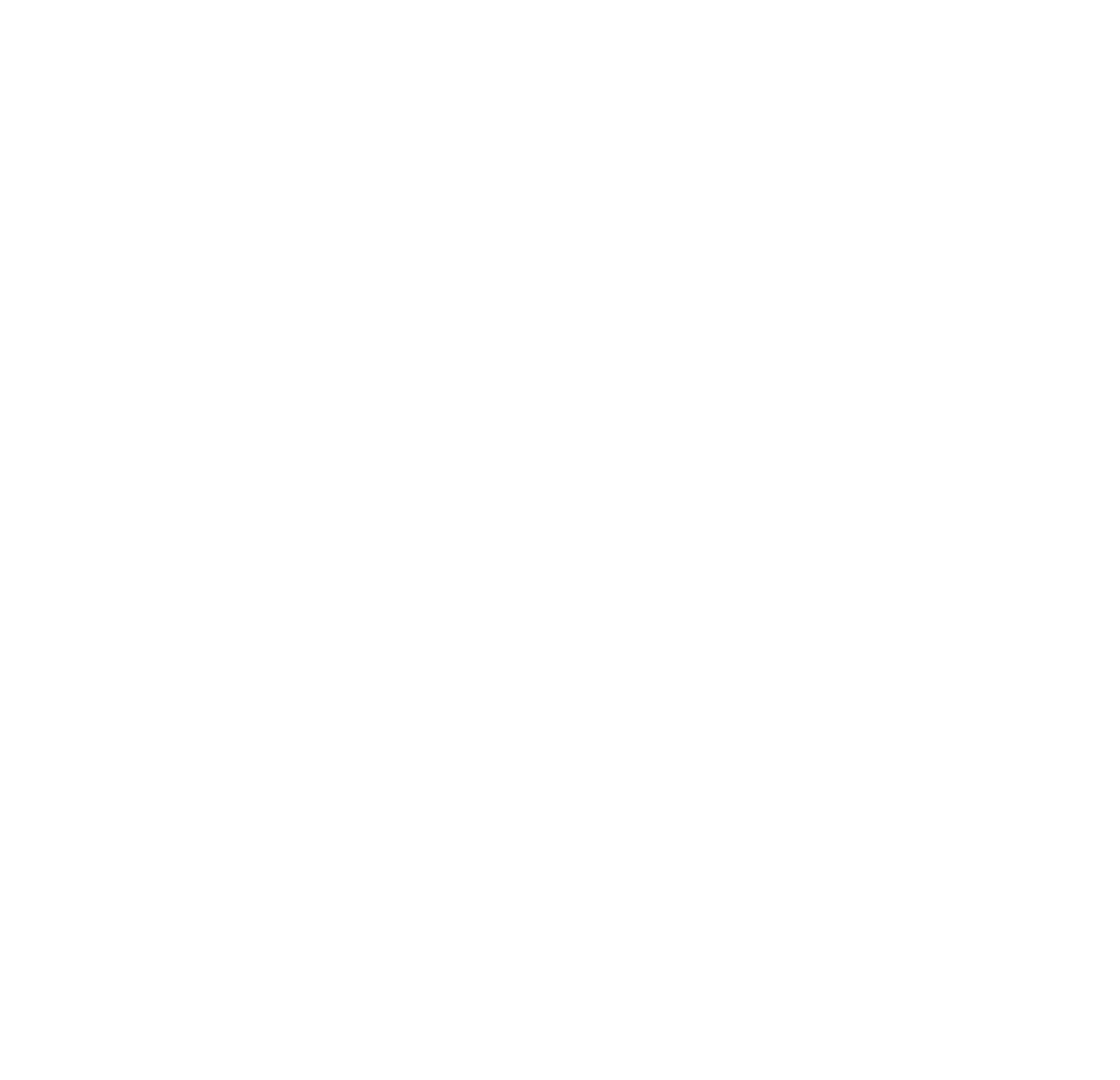 Picture of the CSS logo.